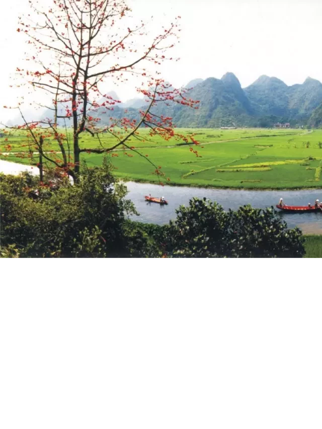  Khu du lịch thắng cảnh Hương Sơn (Chùa Hương): Nơi kết nối văn hóa, tôn giáo và kiến trúc đậm chất Việt