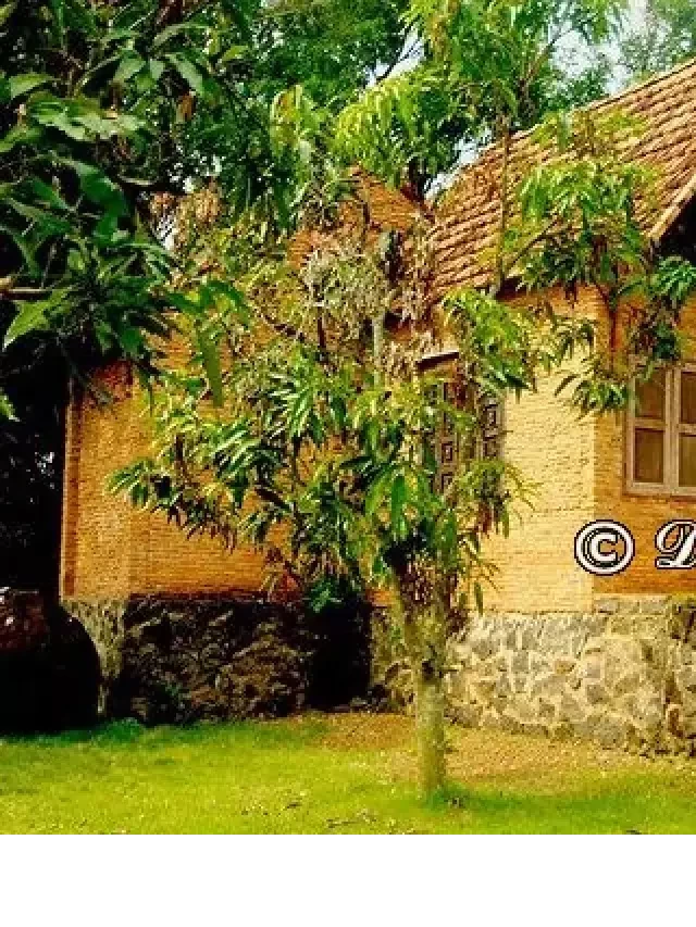   Kinh nghiệm tuyệt vời khi đến khu du lịch Cao Minh