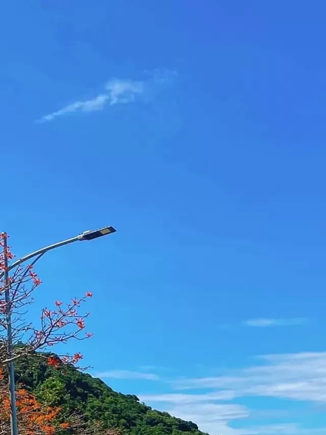   Kinh Nghiệm Du Lịch Cù Lao Chàm Tự Túc – Một Thử Thách Đầy Trải Nghiệm Mới