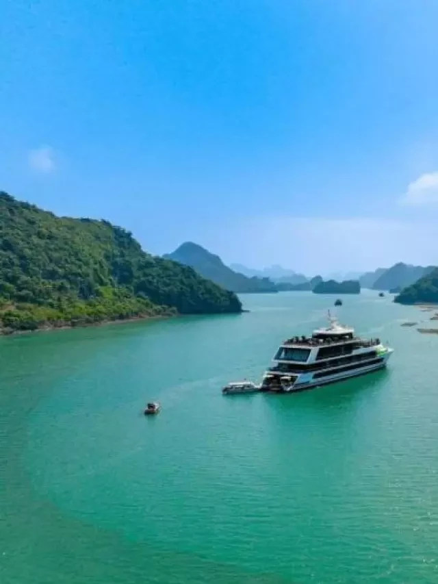   Kinh nghiệm du lịch Hải Phòng 2 ngày 1 đêm tự túc – Khám phá trọn vẹn