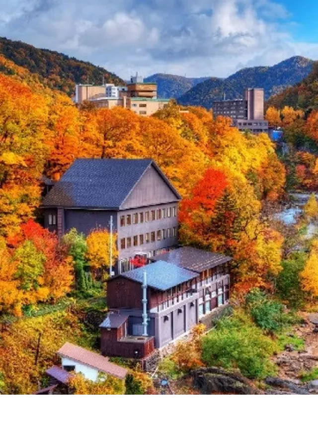   Kinh nghiệm du lịch Hokkaido: Khám phá xứ sở của băng tuyết Nhật Bản