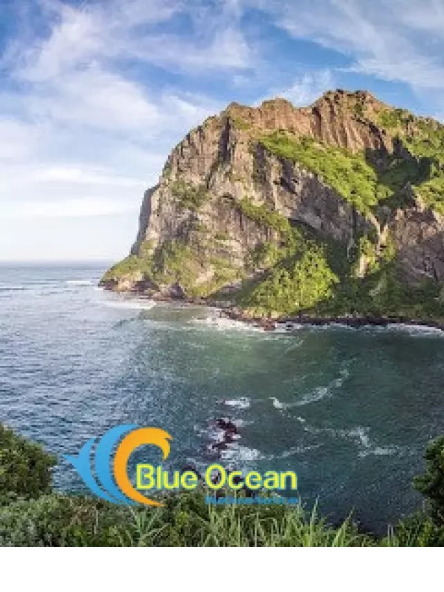   Kinh nghiệm du lịch Jeju A-Z: Trọn vẹn chuyến đi tới vùng đất thần tiên này