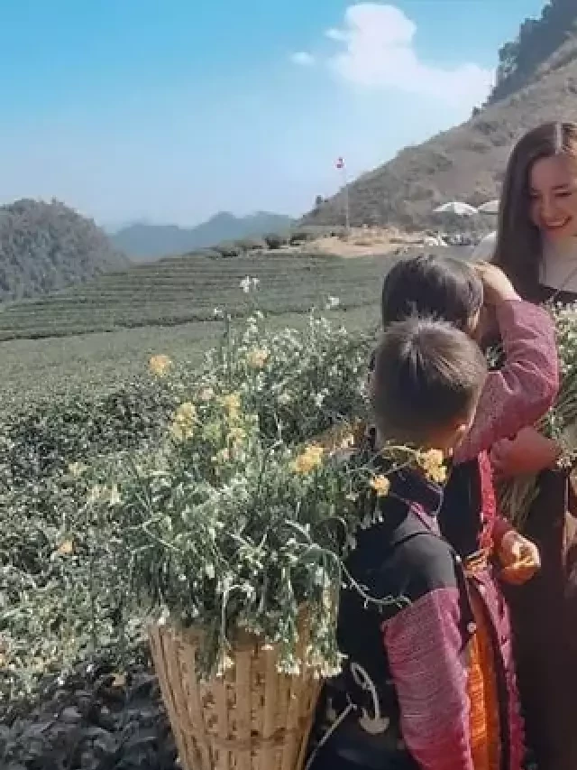   Kinh nghiệm du lịch Mộc Châu 1/2024: Thoả sức khám phá cao nguyên xanh xinh đẹp