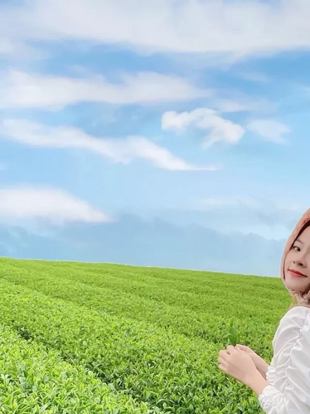   Kinh nghiệm du lịch Mộc Châu tự túc: ăn gì, ở đâu, có gì đẹp...?