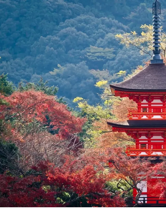   KINH NGHIỆM DU LỊCH MÙA THU Ở KYOTO: Khám phá vẻ đẹp tuyệt vời của cây phong, lễ hội và ẩm thực