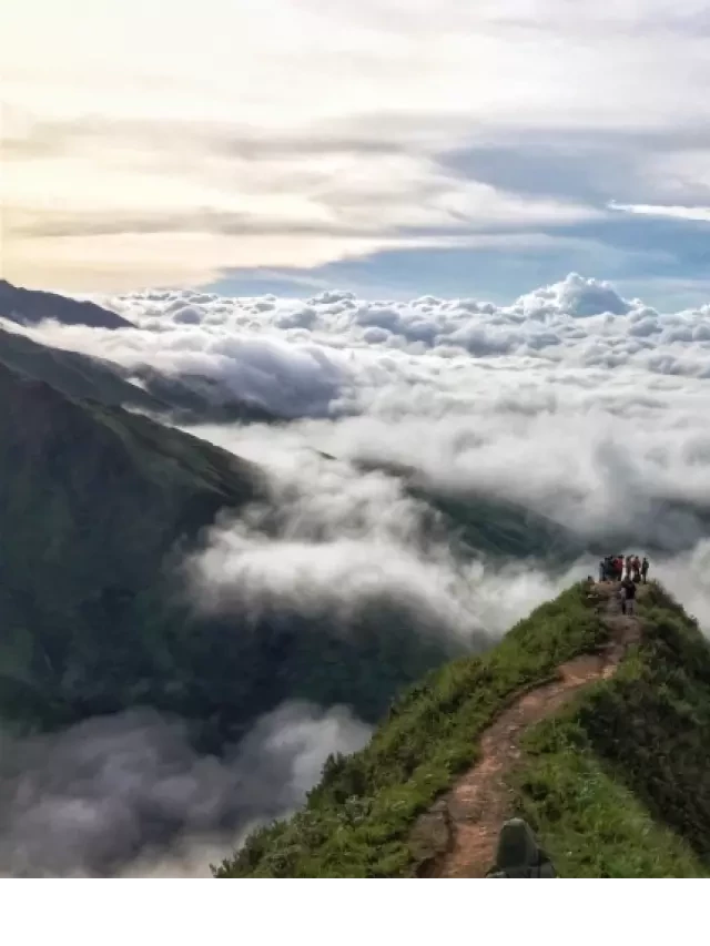   Kinh nghiệm du lịch Tà Xùa Mộc Châu: Một hành trình "săn mây" đáng nhớ