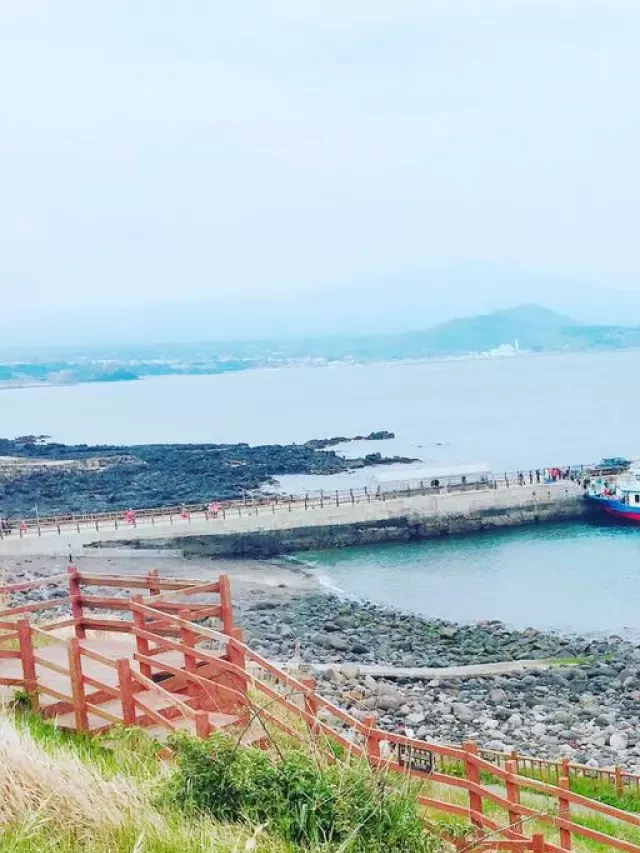   Kinh Nghiệm Du Lịch Đảo Jeju, Hàn Quốc Tự Túc Giá Rẻ