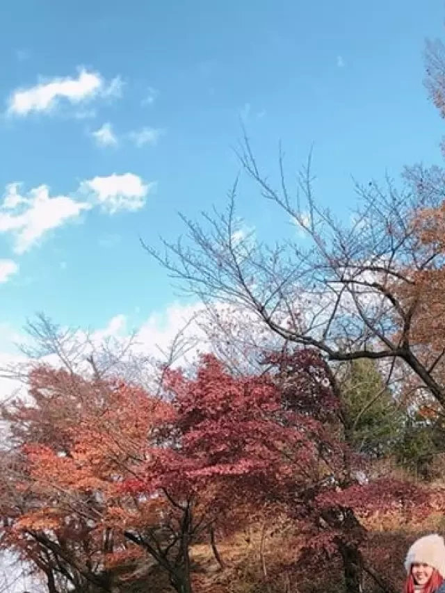   Cẩm nang du lịch Hàn Quốc: Đi đâu, chơi gì, ăn gì trong 7 ngày ở Seoul