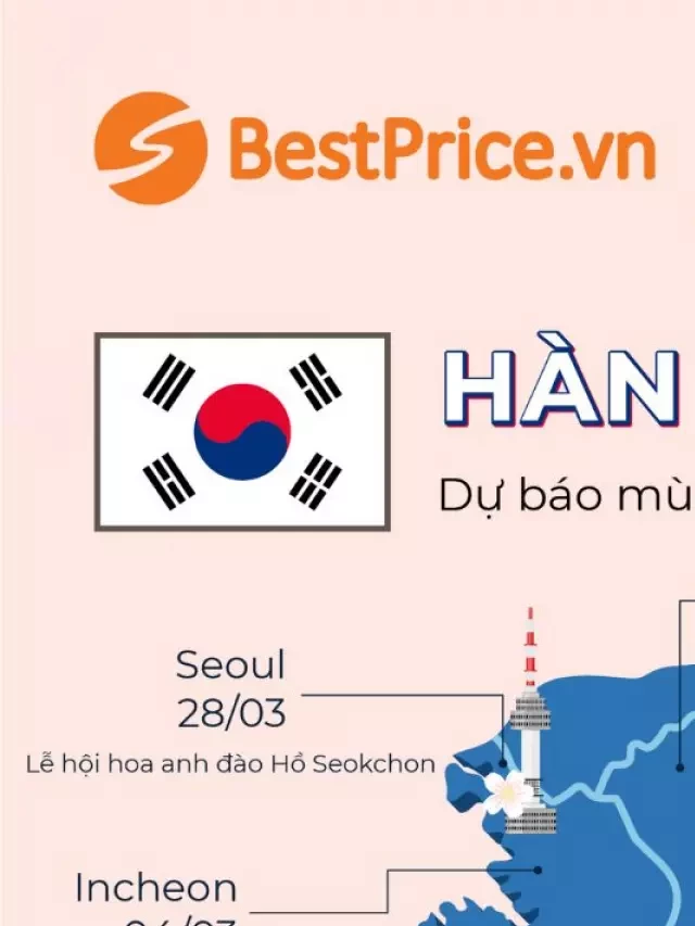   Lịch nở hoa anh đào Hàn Quốc 2023 và những trải nghiệm không thể bỏ qua