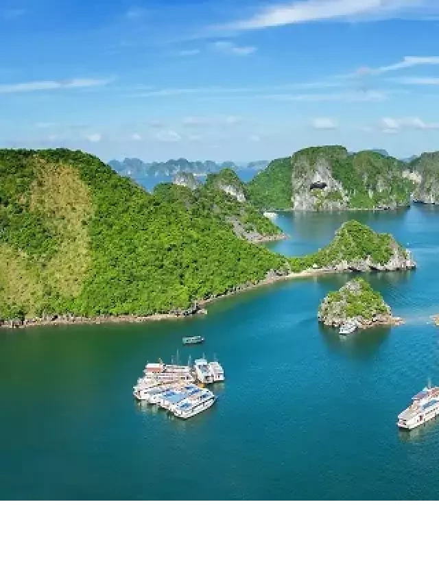   Lịch trình du lịch Hạ Long 2 ngày 1 đêm: Điểm đến hấp dẫn với chi phí tối ưu