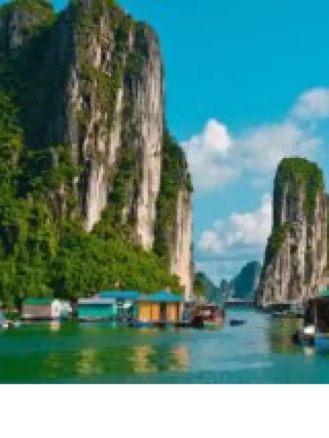   Lịch Trình Tour Du Lịch Hạ Long 3N2Đ: Trải Nghiệm Tuyệt Vời và Đậm Chất Việt