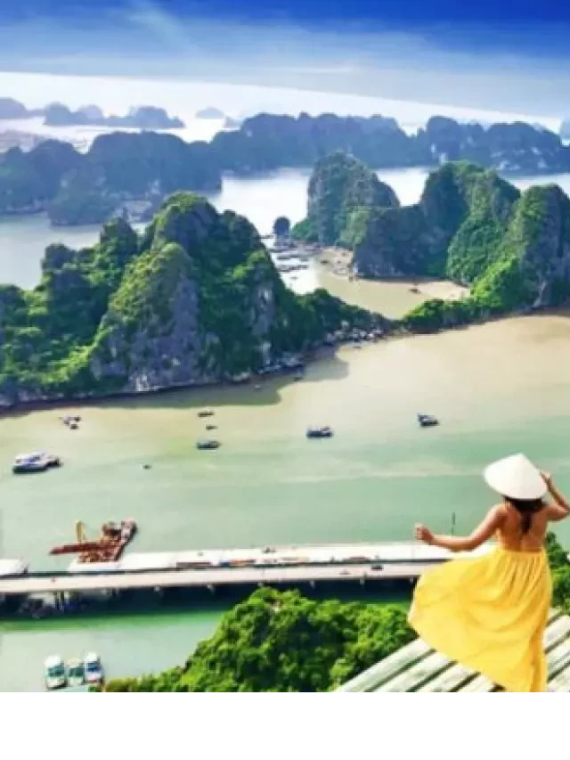   Lịch trình tour Hà Nội Hải Phòng Quảng Ninh 3 ngày 2 đêm: Trải nghiệm tuyệt vời của du khách