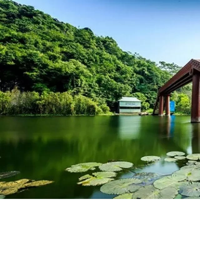   Lưu ý khi đi tour du lịch Hải Phòng Chùa Hương mùa lễ hội