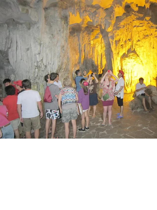   Mẹo vặt để đặt tour và dịch vụ giá rẻ dịp 30/4 tại Hạ Long