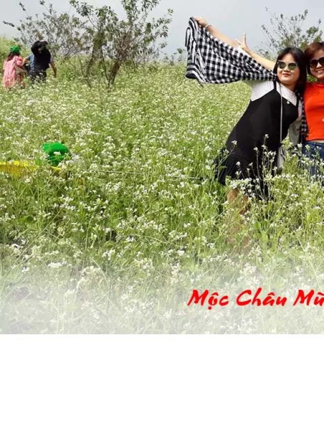   Du lịch Mộc Châu - Khám phá vẻ đẹp của xứ sở mộng mơ