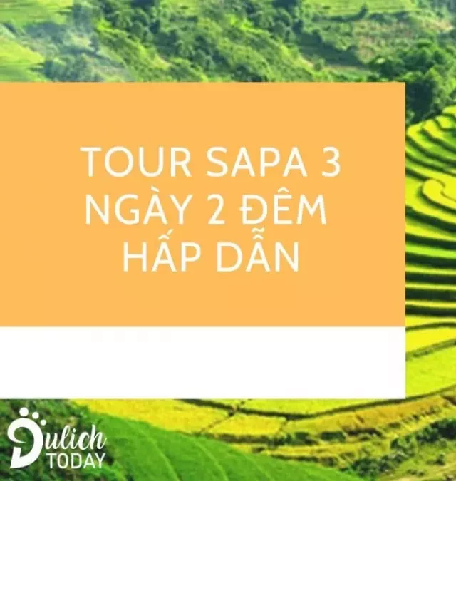   Một tương lai rực rỡ với 10 tour Sapa 3 ngày 2 đêm phổ biến nhất trong năm 2024