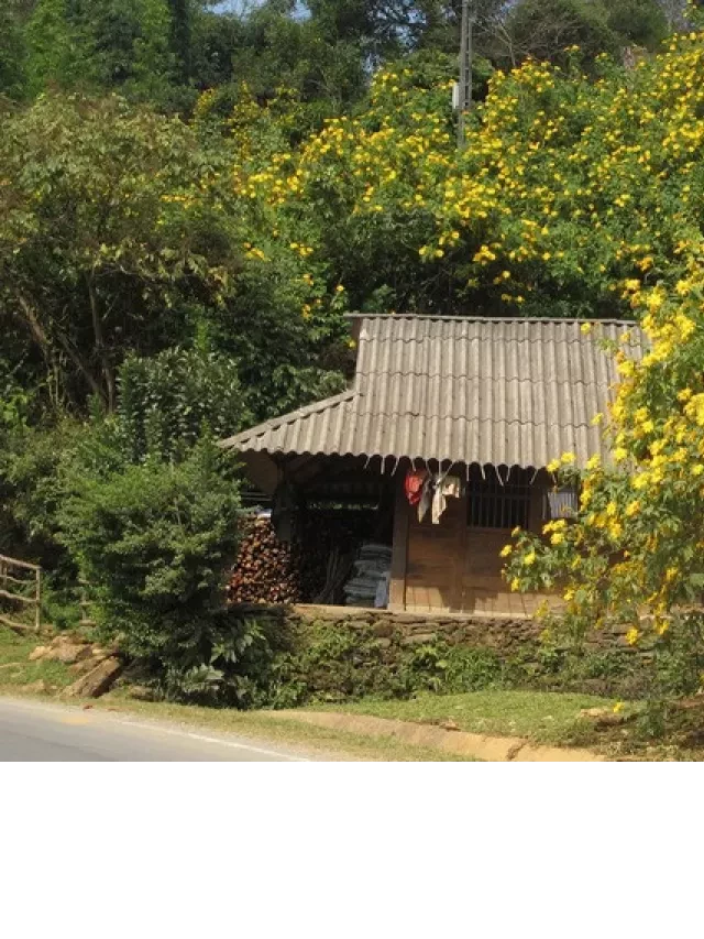  <a href="https://example.com">Du lịch Buôn Ma Thuột: Kinh nghiệm tuyệt vời từ Đất Việt Tour</a>