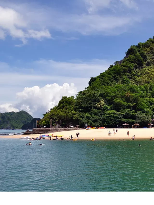   Những hòn đảo tuyệt đẹp không thể bỏ qua ở Vịnh Hạ Long