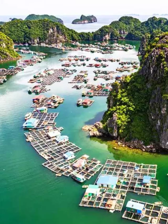  Chỉ trong một ngày ở Vịnh Hạ Long - Làm gì trong ngày duy nhất ở Vịnh Hạ Long?