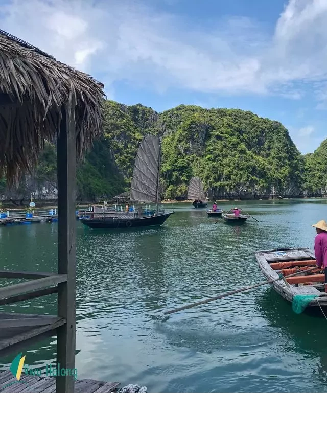   Review: Những Điểm Du Lịch Hạ Long "Nhất Định Phải Tới"