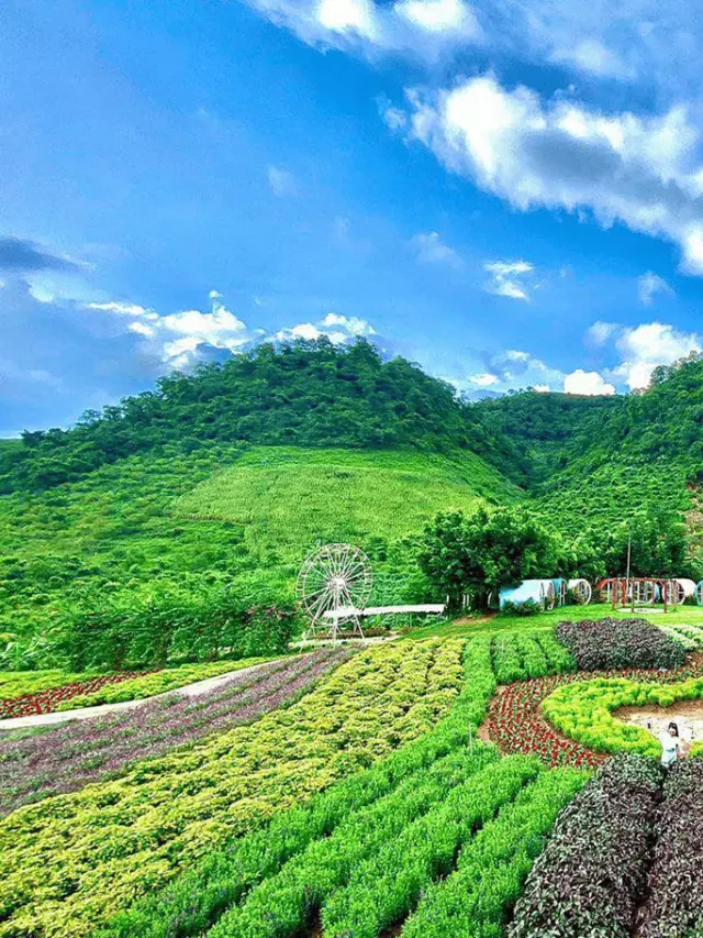   Điểm đến du lịch Mộc Châu Sơn La - Kỳ nghỉ đáng nhớ