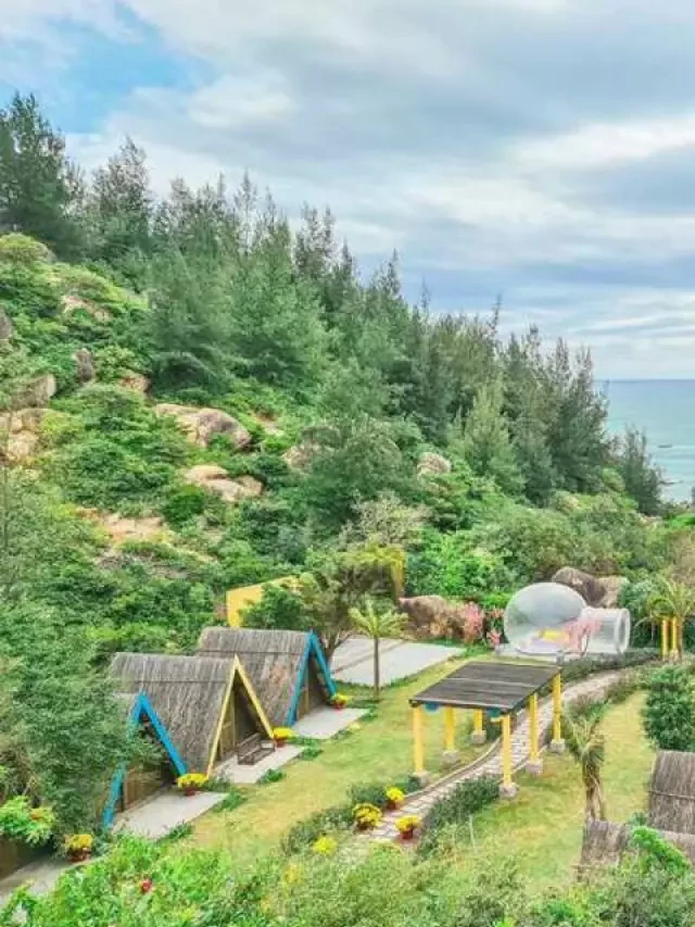   Review: Khám phá khu dã ngoại Trung Lương Quy Nhơn năm 2023