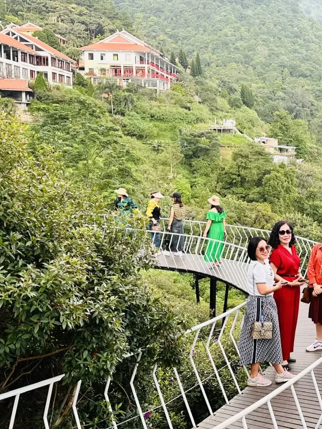   Tam Đảo - Thị trấn mang vẻ đẹp bí ẩn trong mây