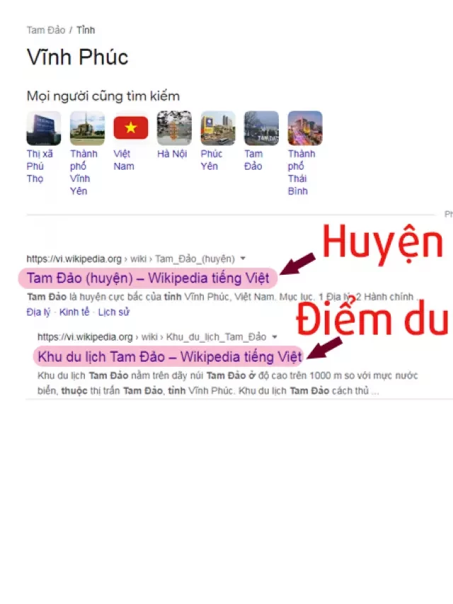   Tam Đảo - Khám phá điểm du lịch hấp dẫn của tỉnh nào?