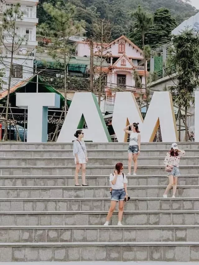   Du lịch Tam Đảo: Khám phá vùng đất tuyệt vời từ A-Z