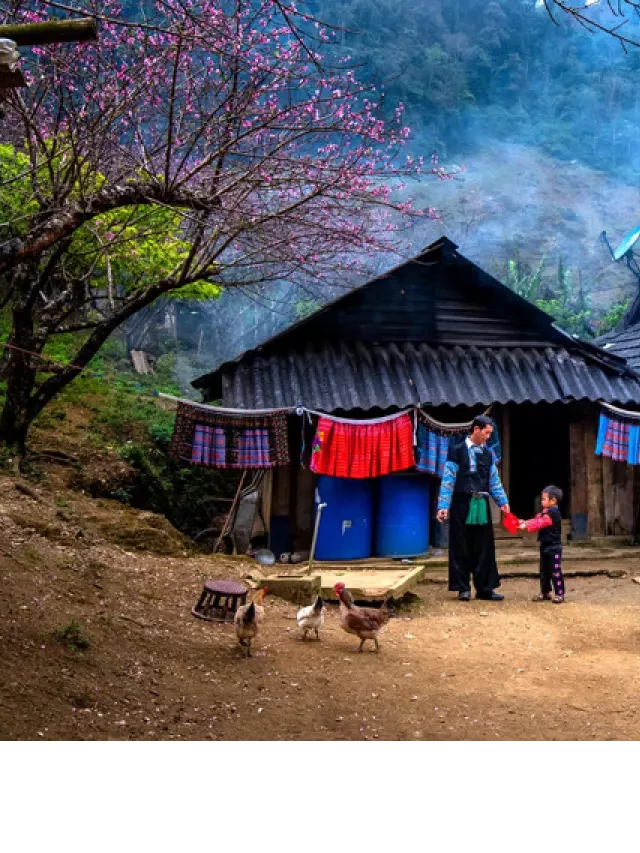   Tết - "chất liệu" cho trải nghiệm du lịch độc đáo