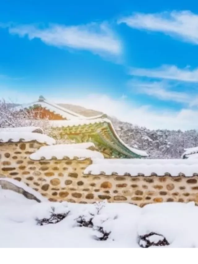   Tết Nguyên Đán 2024 - Du lịch Hàn Quốc, một trải nghiệm thú vị!