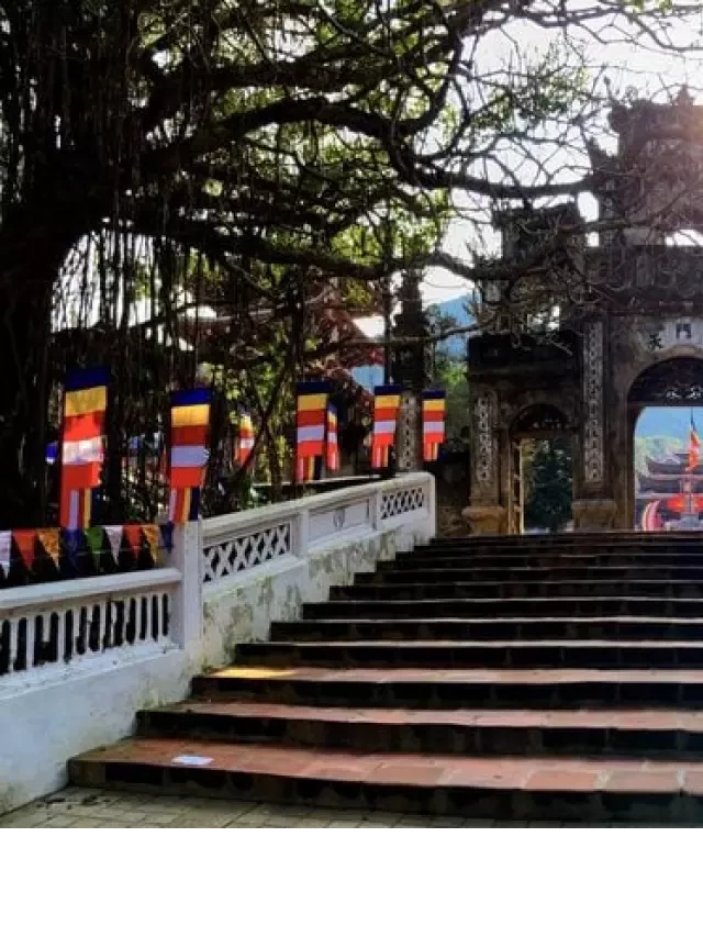   Thoả Sức Thưởng Ngoạn Khung Cảnh Tuyệt Vời của Chùa Hương Hà Nội