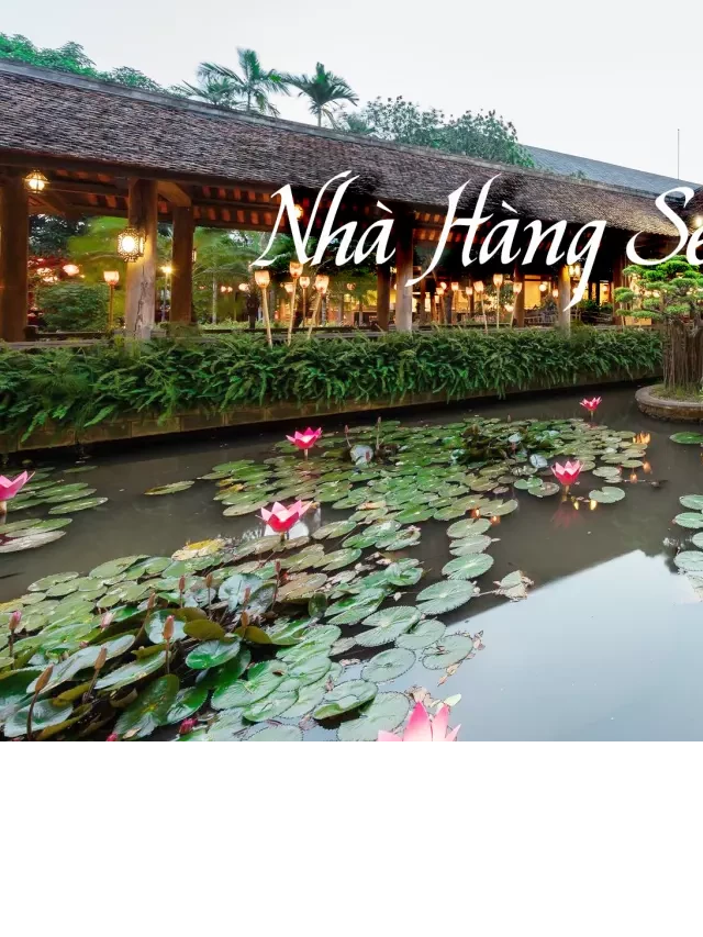   Nhà hàng Sen Tây Hồ - Nơi lý tưởng cho tín đồ buffet
