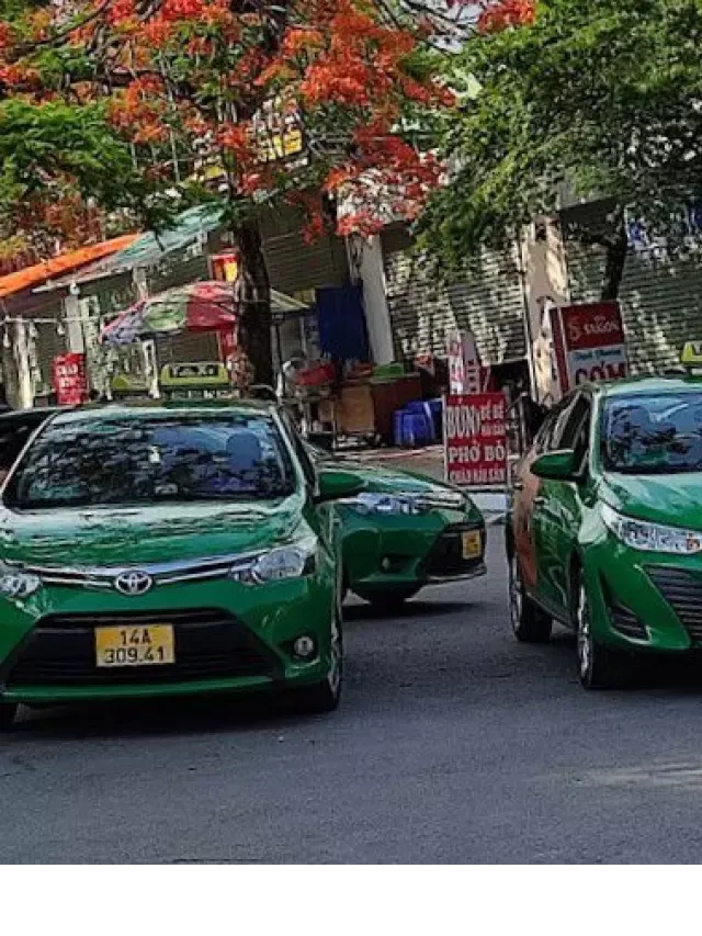   Tổng Đài Số Điện Thoại Taxi Hạ Long Quảng Ninh