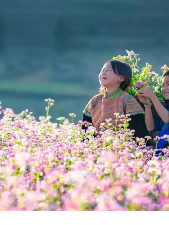   Cẩm nang du lịch miền Bắc tháng 11: Top 12 địa điểm thú vị và hấp dẫn