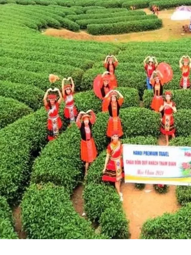   TOP TOUR DU LỊCH MAI CHÂU - MỘC CHÂU: Khám phá vẻ đẹp thiên nhiên và văn hóa độc đáo