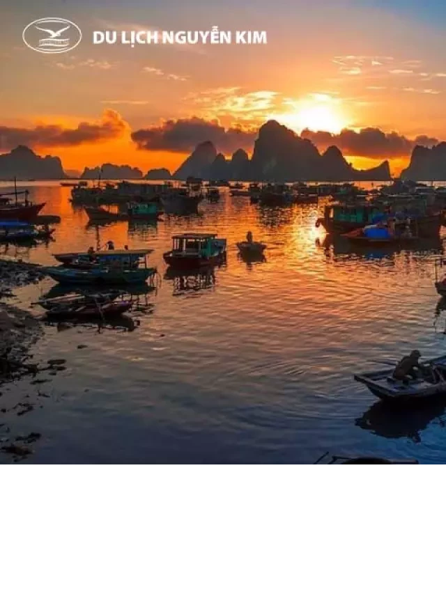   Tour CÔ TÔ 2N1Đ - Khám phá thiên đường du lịch tuyệt vời