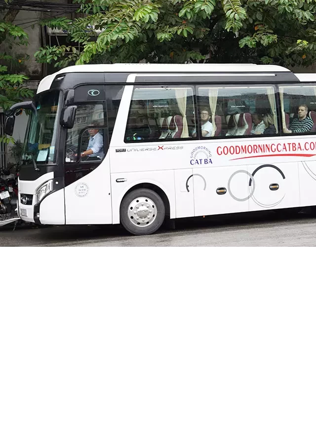  Tour du lịch Cát Bà 2 ngày 1 đêm từ Hà Nội: Khám phá thiên đường biển