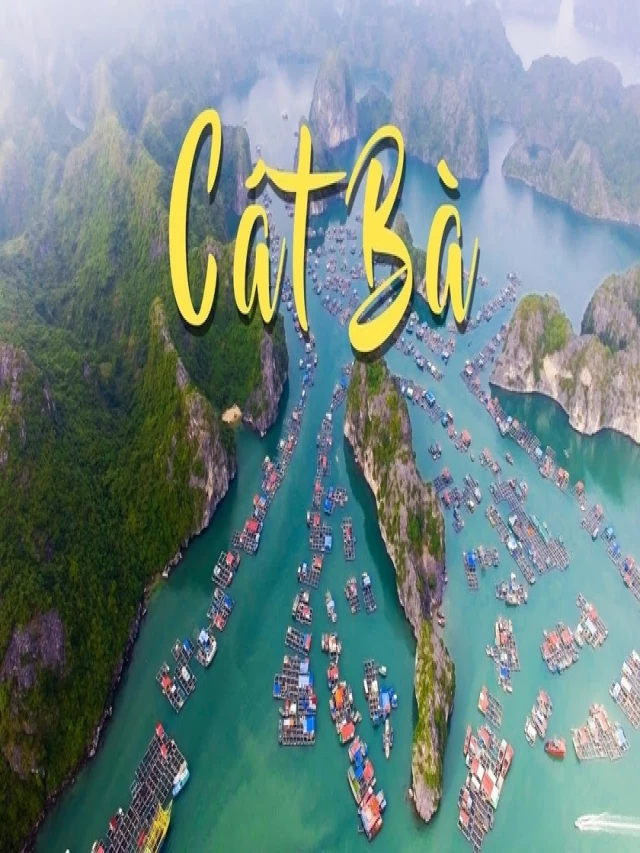   Du lịch Cát Bà 3 ngày 2 đêm: Khám phá hòn đảo tuyệt đẹp