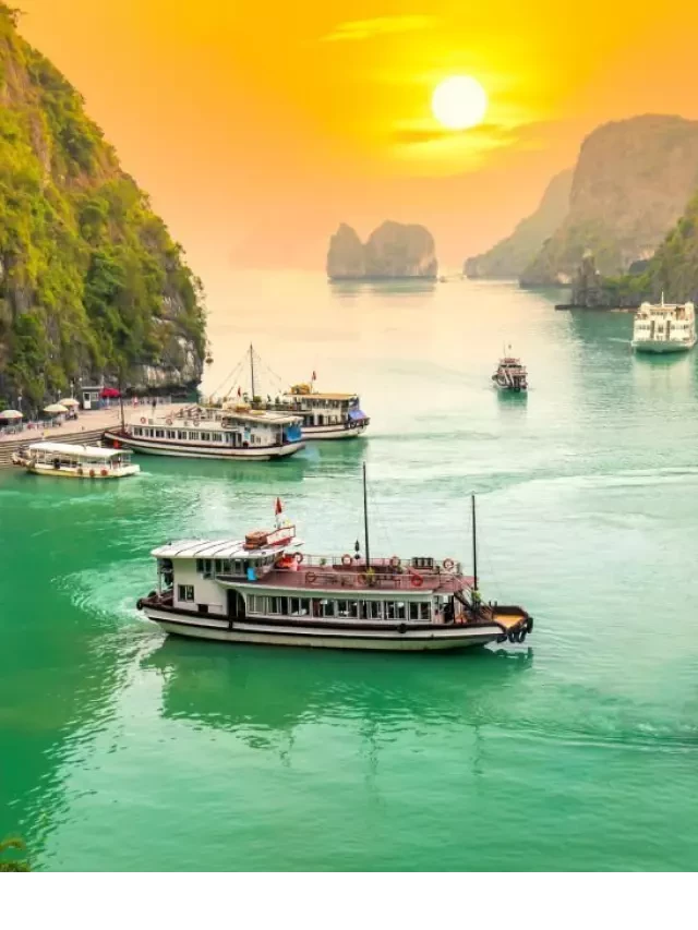   Tour Du Lịch Hạ Long 3 Ngày 2 Đêm (Khách Đoàn): Khám Phá Vịnh Hạ Long Cùng Kim's Travel