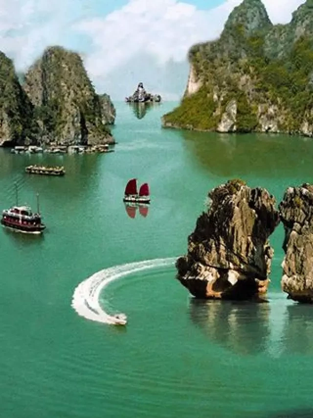   Tour du lịch Hạ Long - Cô Tô: Khám phá vùng biển đẹp nhất miền Bắc