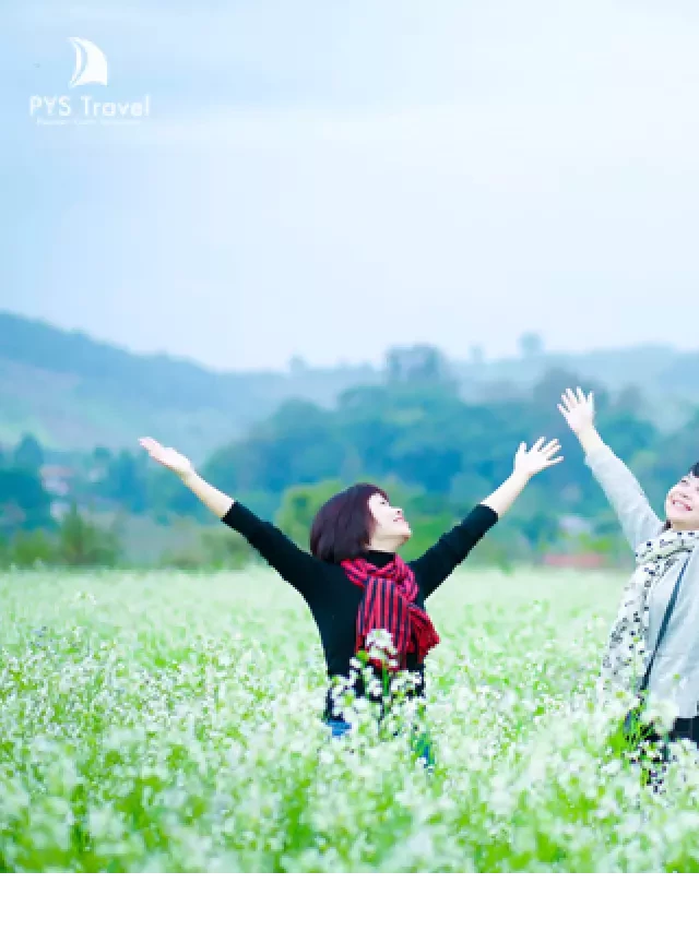   Chuyến du lịch Hà Nội – Cao Nguyên Mộc Châu Mùa Hoa