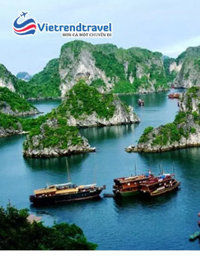   Tour du lịch Hà Nội - Hạ Long: Trải nghiệm dịch vụ 5 sao tại FLC Hạ Long
