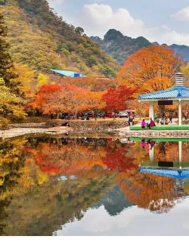   Tour Du Lịch Hàn Quốc Mùa Thu: Trải Nghiệm Seoul – Nami– Everland – Hero Show