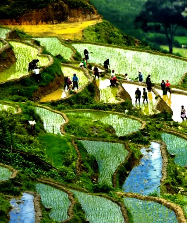   Tour du lịch miền Bắc Hà Nội - Sa Pa 3 ngày 2 đêm