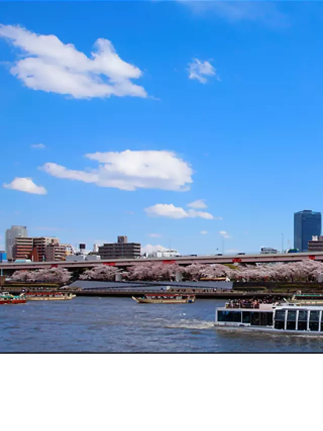   Tour Du Lịch Nhật Bản Tết Nguyên Đán 6 Ngày 5 Đêm: Tokyo - Yamanashi - Nagoya - Kyoto - Osaka