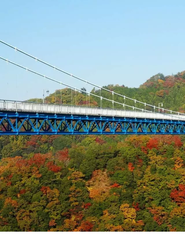  Tour Du Lịch Nhật Bản Tết Tây 7 Ngày 6 Đêm: Ibaraki - Tokyo - Yokohama