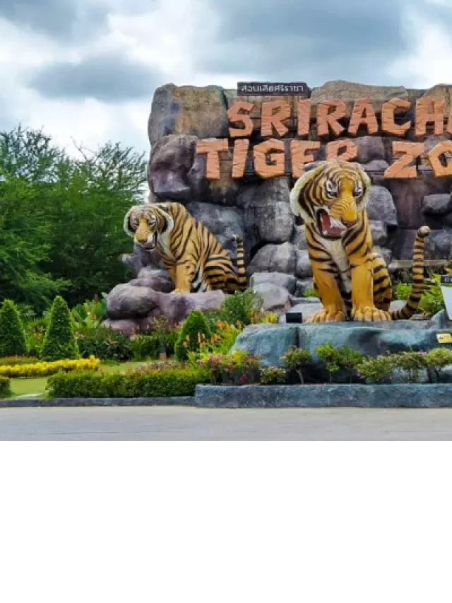   Du Lịch Thái Lan: Khám phá Bangkok - Pattaya trong 5 ngày 4 đêm