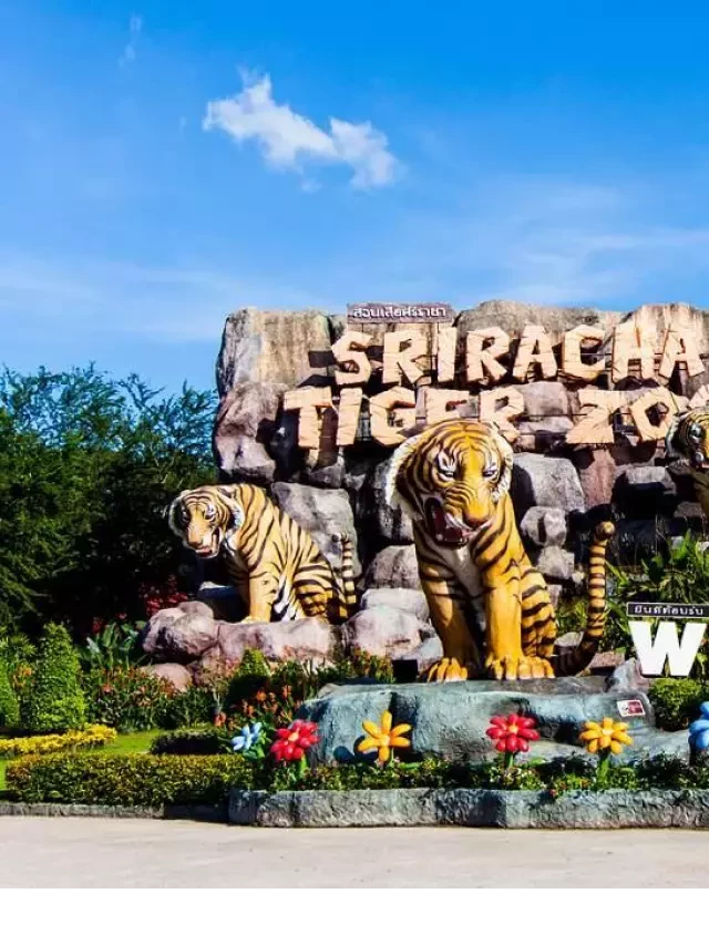   Tour du lịch Thái Lan từ Hà Nội 5 ngày 4 đêm: Bangkok - Pattaya