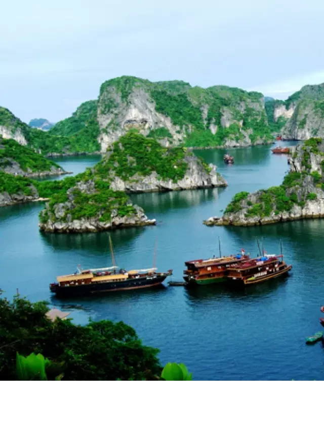   Tour du lịch Vịnh Hạ Long Chất Lượng Cao 2024